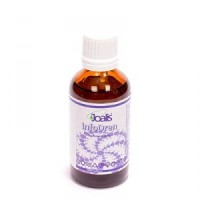 infodren_vegamedica_1086465019